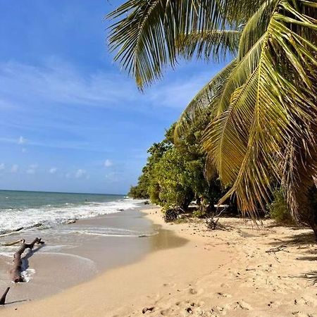 Bambou Suite Vue Mer A 50 M De La Plage Et De La Piscine Сент-Люс Экстерьер фото
