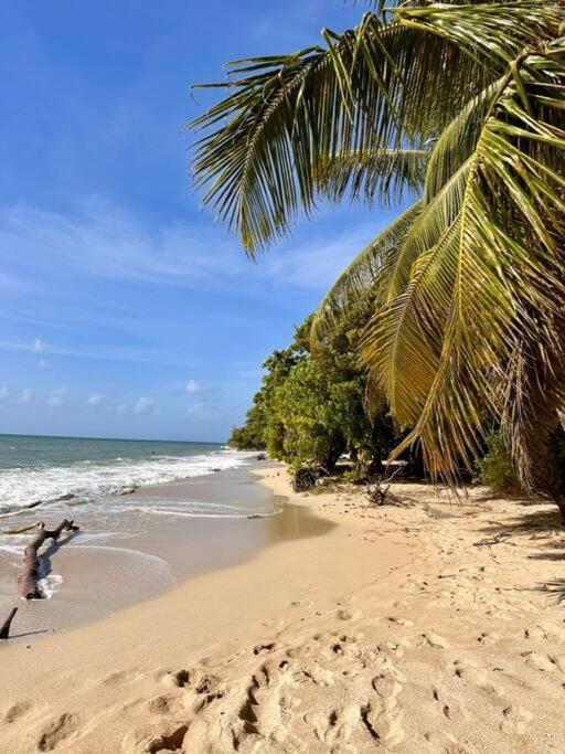 Bambou Suite Vue Mer A 50 M De La Plage Et De La Piscine Сент-Люс Экстерьер фото